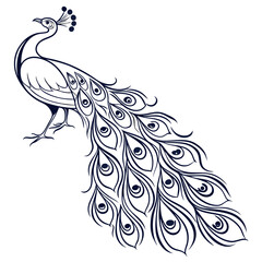 Vector art of sophisticated peacock line art, featuring clean lines and minimalist design, ideal for adding a touch of elegance to any creative project or artistic endeavor