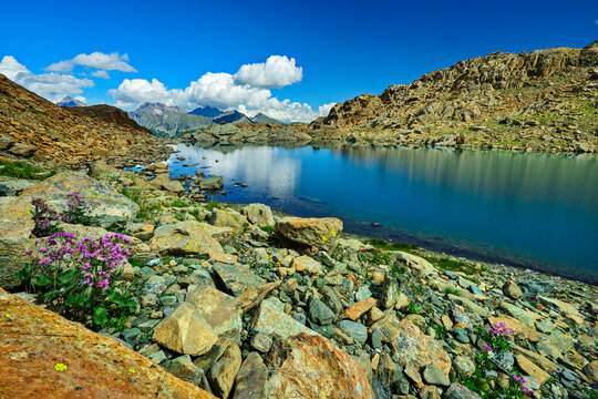 Tranquil mountain lake in Bernina Alps along alta via Valmalenco in Italy