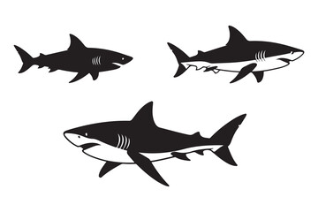 Shark silhouette vector animal black set design.eps