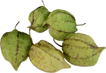 Obraz premium Local Asian Cape gooseberry Isolated