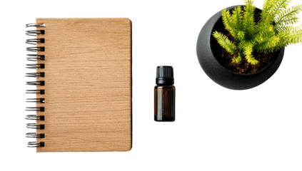Light-brown notebook, dark-brown oil bottle, small plant