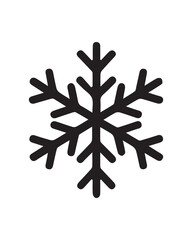 A detailed blue crystal snowflake icon is shown on a white background, symbolizing the cold winter holiday season