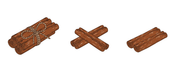 A set hand-drawn of cinnamon sticks. Vector