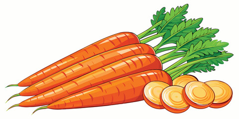 Fresh orange carrots and round carrot slices are displayed against a white backdrop