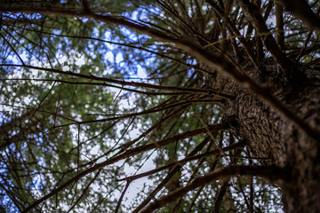  Autunno Riserva Naturale di Pian di Gembro