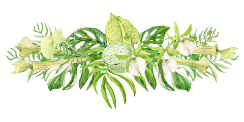 Composition of white orchids, green anthurium, sarracenia and monstera leaves. Exotic plants of tropical forests and jungles. Watercolor illustration for wedding invitations in jungle style.