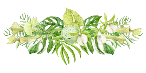 Composition of white orchids, green anthurium, sarracenia and monstera leaves. Exotic plants of tropical forests and jungles. Watercolor illustration for wedding invitations in jungle style.