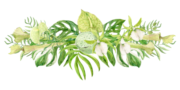 Composition of white orchids, green anthurium, sarracenia and monstera leaves. Exotic plants of tropical forests and jungles. Watercolor illustration for wedding invitations in jungle style.