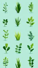 Flat Illustration of Aquarium Plants in Geometric Style
