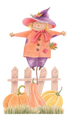 Hand-drawn colored pencil isolated illustration of cute scarecrow in purple hat and orange coat with pumpkins near a fence. Good for Halloween cards, autumn decor, fall harvest or Thanksgiving designs