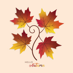 Autumn maple leaves on a swirling branch with hello autumn text. Perfect for Banner, Greeting Card, Poster etc.