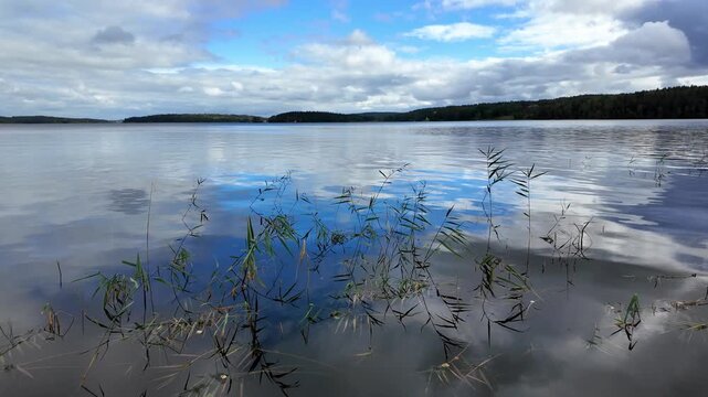 calm zen lake in Sweden, Scandinavian nature, tranquil meditation scene in Scandinavia, travel in Sweden, idyllic landscape with reflection in a lake in Mariefred, Sweden