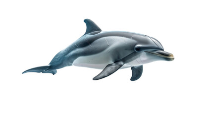 A sleek, grey dolphin with a distinctive dark stripe along its side, swimming gracefully against a black background, rendered in realistic detail