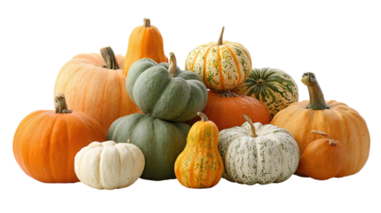 Collection of pumpkins in multiple shapes and sizes, seasonal harvest, isolated on transparent background 