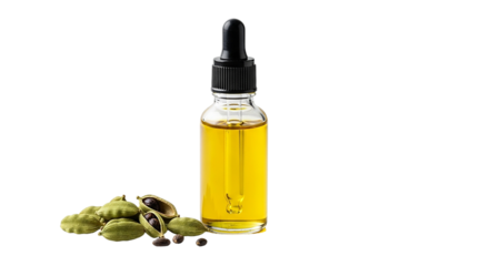 Invigorating essence Cardamom infused golden oil a scent of serene spice and natural remedy Clean glass bottle with
