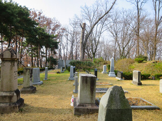 Naklejka premium Scenery of a memorial park cemetery, a solemn and peaceful burial space in nature.