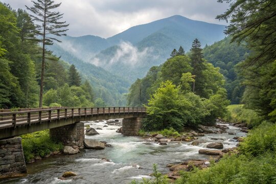 Bridge Over Mountain Stream in Great Smoky Mountains
