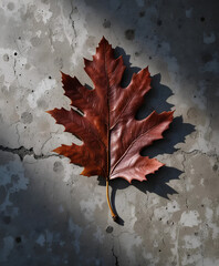 close up dried autumn oak maple leaf reddish brown color on grey concrete background with visible veins texture and shadow natural seasonal fall foliage concept