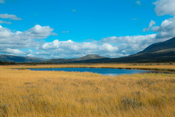 Lake in the marsh Fokstumyra, a nature reserve in Dovre mountains, Norway