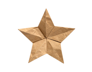 A five-pointed star made from textured brown paper, showcasing sharp angles and creases.