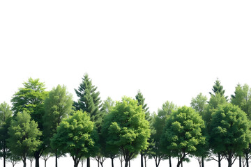 Lush green forest canopy panorama with isolated white sky background natural landscape isolated on transparent background