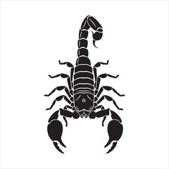 A detailed black silhouette of a scorpion with its tail raised and claws open against a white background