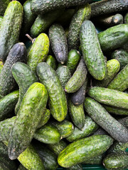 Fresh Cucumbers Filling the Frame, Full Background