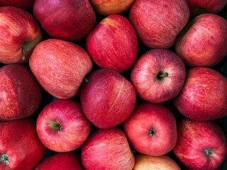 A top view photo of ripe apples neatly arranged and filling the entire frame. The apples create a colorful food background, perfect for themes of health, nutrition, farming, and seasonal harvest.
