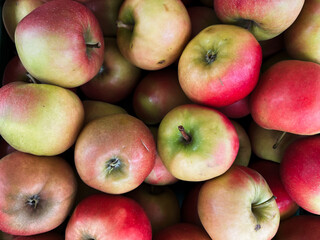 A top view photo of ripe apples neatly arranged and filling the entire frame. The apples create a colorful food background, perfect for themes of health, nutrition, farming, and seasonal harvest.