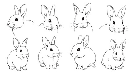 Cute line art drawings of adorable bunnies in various poses for easter and spring decorations silhouette