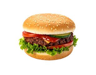 Juicy beef patty, cheddar cheese, lettuce, tomato, pickles, ketchup on a sesame seed bun