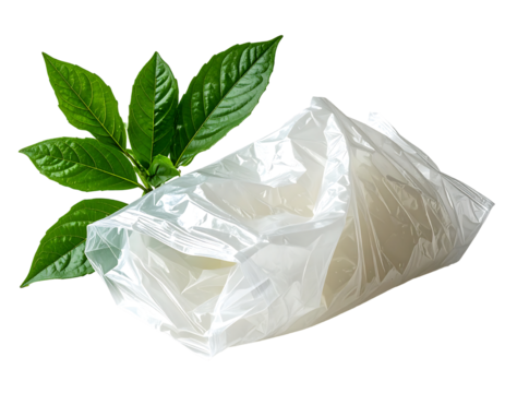 A clear plastic bag, seemingly containing a white substance, rests beside vibrant green leaves suggesting a natural or organic product