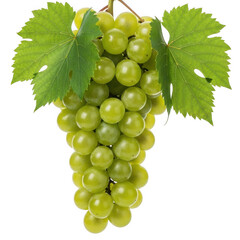 Obraz premium Green grapes with leaves isolated on transparent background