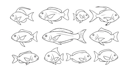 Collection of hand drawn line art goldfish icons and illustrations in various poses silhouette