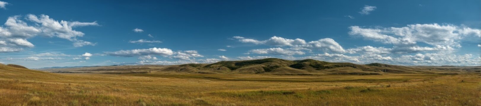 Panoramic hdr landscape of rolling hills nature open environment scenic view