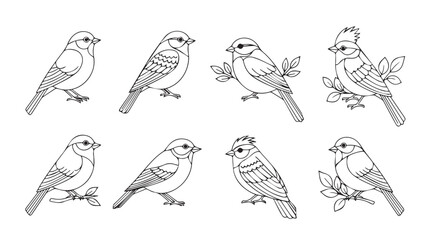 Collection of detailed sketches of small birds perched on branches in a natural style silhouette