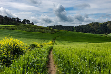 Beautiful spring landscape view from the north of Tunisia