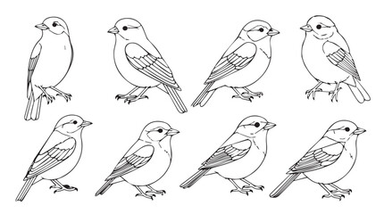 Set of eight hand drawn sparrow sketches with detailed feathers and perching poses on silhouette