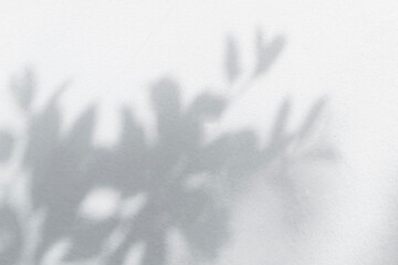 Leaf shadow and light grey background. Nature tropical leaves plant tree branch shade sunshine on wall. Sunlight on white wall texture for background wallpaper, shadows overlay effect foliage mockup