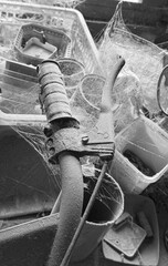 A room abandoned by man, covered with a layer of dust, cobwebs and flies