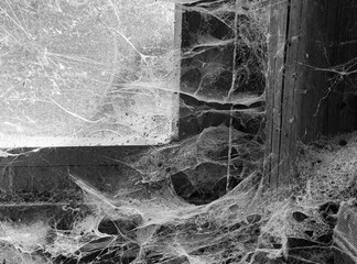A room abandoned by man, covered with a layer of dust, cobwebs and flies