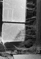 A room abandoned by man, covered with a layer of dust, cobwebs and flies