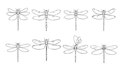 Delicate dragonfly designs eight unique line art insect motifs for elegant nature art silhouette © Pias