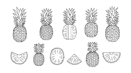 Hand drawn tropical pineapple illustrations and slices artistic botanical fruit collection silhouette