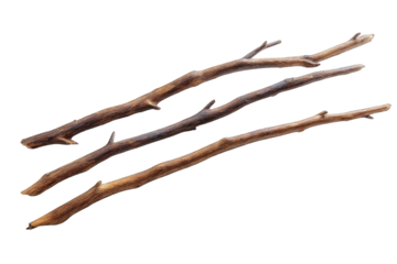 Three long, parallel, light brown wooden branches