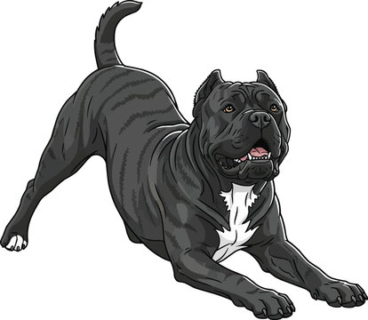 Cane Corso dog playful bow pose cute vector illustration