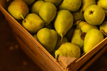 A collection of fresh green pears is arranged in a rustic wooden crate, emphasizing their smooth...