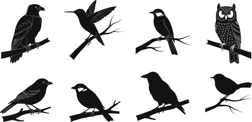 Bird silhouettes, perched on branches, black and white illustration, diverse species design, nature art, wildlife figure, decorative graphic, minimal style, natural background, avian concept