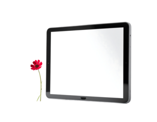 A single red poppy stands beside a large, blank tablet screen, suggesting remembrance or quiet contemplation