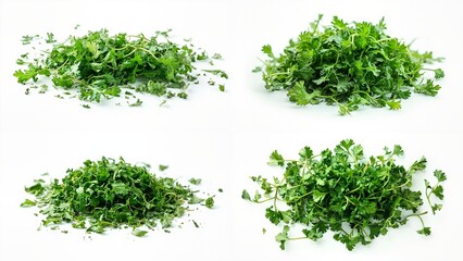 Naklejka premium A bunch of green leaves on white surface background design frame creative composition style illustration motion gesture scene cartoonish layers colorful depth expression emotion backgrounds